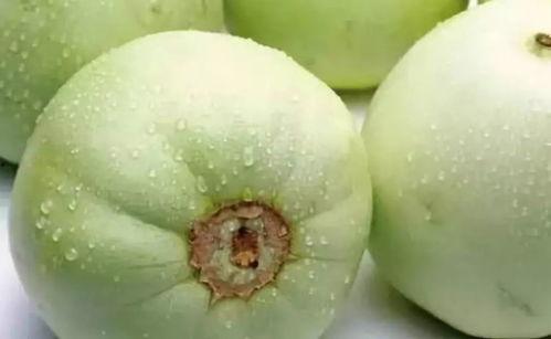 大荔吃瓜最新事件爆料是真的吗,真相揭秘还是网络谣言? 第2张 大荔吃瓜最新事件爆料是真的吗,真相揭秘还是网络谣言? 第2张