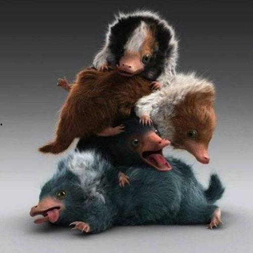 沃神最新爆料罗威,沃神曝转会细节引热议  第3张