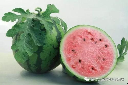 博雅吃瓜网红是谁啊图片,网络红人的崛起之路  第2张 博雅吃瓜网红是谁啊图片,网络红人的崛起之路  第2张