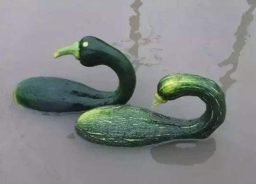 博雅吃瓜网红是谁啊图片,网络红人的崛起之路  第3张 博雅吃瓜网红是谁啊图片,网络红人的崛起之路  第3张