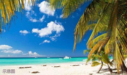 海南海边最新消息爆料,神秘海岛发现珍稀生物,旅游胜地再掀热潮  第2张 海南海边最新消息爆料,神秘海岛发现珍稀生物,旅游胜地再掀热潮  第2张