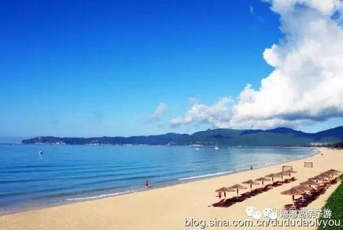 海南海边最新消息爆料,神秘海岛发现珍稀生物,旅游胜地再掀热潮  第3张 海南海边最新消息爆料,神秘海岛发现珍稀生物,旅游胜地再掀热潮  第3张