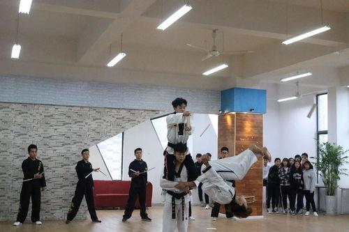 烟台爆料最新新闻联播,新闻联播聚焦城市新发展与民生改善  第3张 烟台爆料最新新闻联播,新闻联播聚焦城市新发展与民生改善  第3张