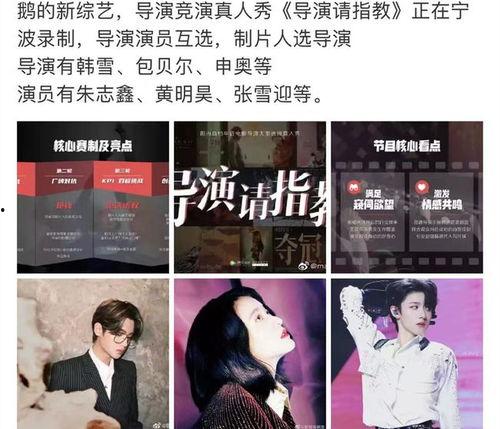 圈内人士爆料朱志鑫视频,圈内人士揭秘幕后真相  第2张 圈内人士爆料朱志鑫视频,圈内人士揭秘幕后真相  第2张