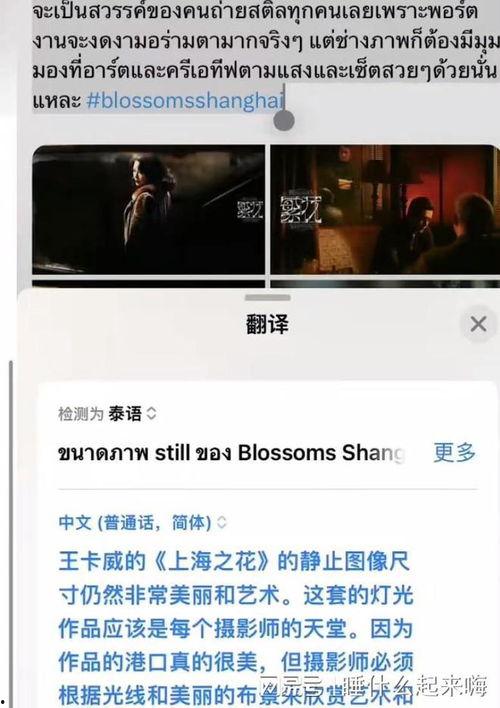 外网爆料金珍妮视频,网络热议背后的真相揭秘  第2张