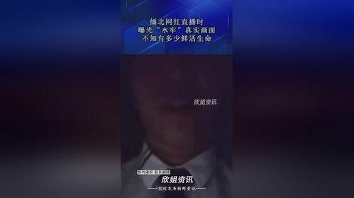缅北直播爆料最新消息,揭秘神秘势力动态  第3张 缅北直播爆料最新消息,揭秘神秘势力动态  第3张