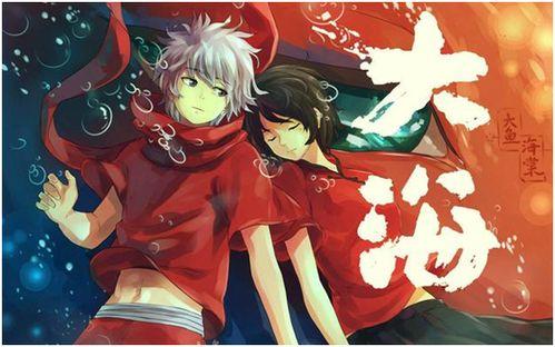 大鱼海棠2在线观看,守护家园,传承爱与勇气  第2张 大鱼海棠2在线观看,守护家园,传承爱与勇气  第2张