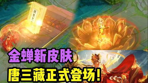 金蝉皮肤最新爆料图片  第2张